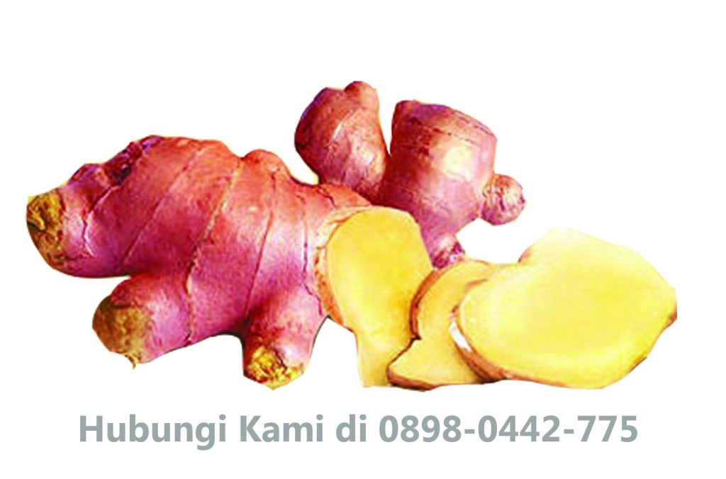 instan-jahe-merah-naphyco