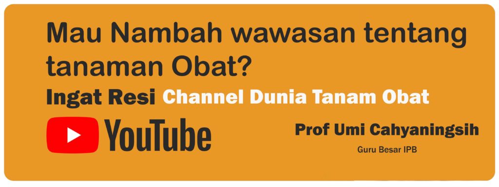 ingat-resi3mp